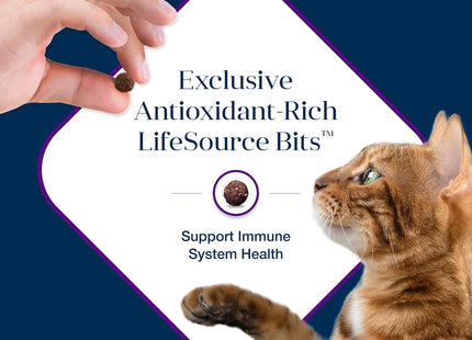 Basics Grain-Free Dry Cat Food, Skin & Stomach Care, Limited Ingredient Diet for Indoor Cats, Turkey & Potato Recipe, 11-Lb. Bag