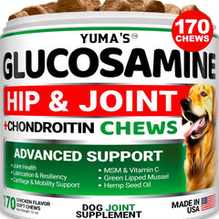 Glucosamine for Dogs Hip and Joint Supplement for Dogs 170 Chews Pain Relief