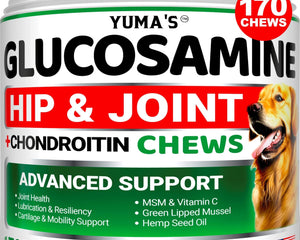 Glucosamine for Dogs Hip and Joint Supplement for Dogs 170 Chews Pain Relief