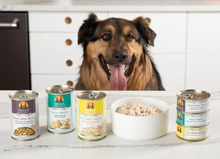 Classic Dog Food, Funky Chunky Chicken Soup with Chicken Breast & Pumpkin in Gravy, 14Oz Can (Pack of 12)