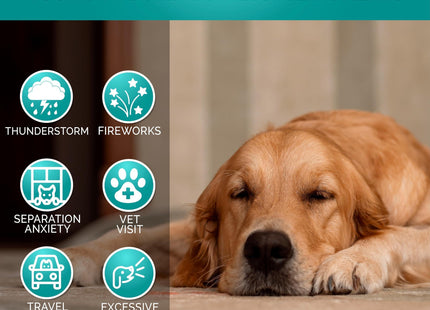 Advanced Calming Chews for Dogs Hemp Dog Calming Chews Anxiety Relief with Melatonin Stress & Separation Anxiety Sleep Aid Hip and Joint Supplement Support Made in USA 70 Treats