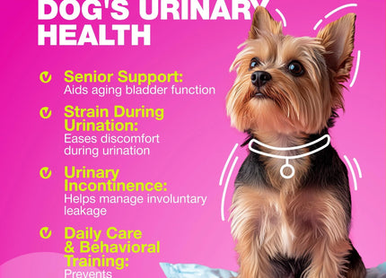 Dog UTI Treatment Dog Cranberry Supplement for Bladder Kidney Health Urinary