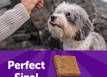 Rewarding Life Dog Treats, Training Treat, Grain Free, Soft Chicken & Lamb (6 Ounce Bag)