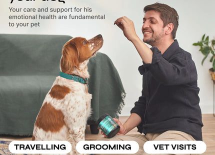 Calming Chews for Dog Anxiety Relief Calming Treats for Dogs Stress Separation