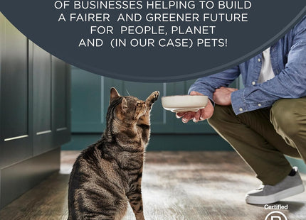 Natural Wet Canned Cat Food, Limited Ingredient, Grain-Free, High Protein with No Artificial Additives, Fish Variety in Broth (12 X 2.47 Oz Cans)