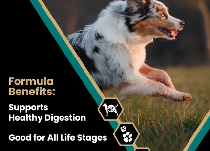 Super Premium Dog Food – Select Ocean Fish Formula with Salmon – Omega-3 and Omega-6 Enriched Gluten-Free Dry Kibble for All Normally Active Dogs of All Life Stages, 5Lbs