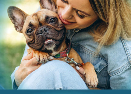 No Poo Chews for Dogs Stop Poop Eating Behavior Probiotics and Digestive