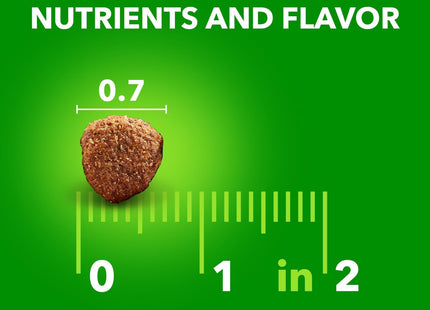 Proactive Health Large Breed Adult Dry Dog Food Lamb & Rice Recipe, 15 Lb. Bag