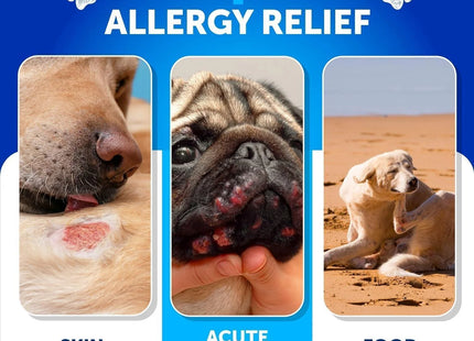 Dog Allergy Relief Chews Itching Skin Relief for Dogs Fish Oil Omega 3