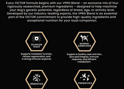 Super Premium Dog Food – Select Ocean Fish Formula with Salmon – Omega-3 and Omega-6 Enriched Gluten-Free Dry Kibble for All Normally Active Dogs of All Life Stages, 5Lbs