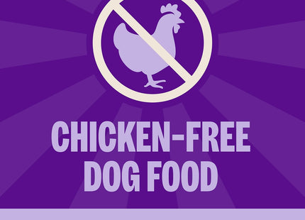 CORE Dry Dog Food, Grain Free, High Protein, Natural, Lamb Recipe, (4-Pound Bag)