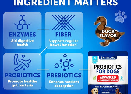 Dog Probiotics Duck Flavor Probiotics for Dogs Gut Health Itchy Skin Allergies & Immunity Support Yeast Balance Dog Probiotic 70 Chews with Prebiotics Dog Probiotics and Digestive Enzymes Reduce Diarrhea