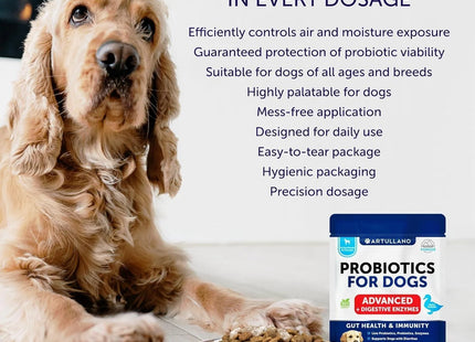 Probiotic Powder for Dogs Support Gut Health Itchy Skin Allergies Immunity