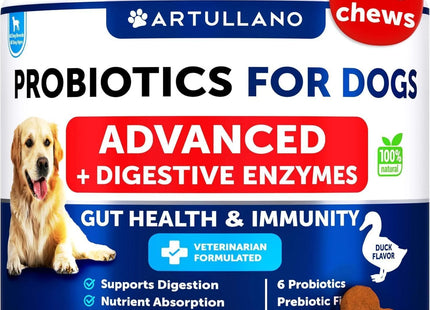 Probiotics for Dogs Support Gut Health Itchy Skin Allergies Immunity Yeast