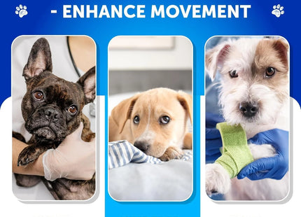 Glucosamine for Dogs Hip and Joint Supplement for Dogs with Arthritis Chews