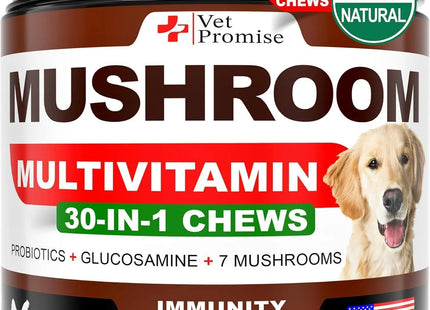 Mushroom for Dogs 170 Chews Turkey Tail Mushroom for Dogs Lions Mane Reishi