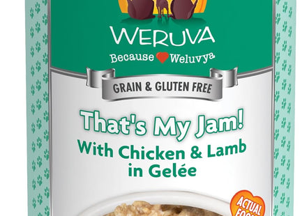 Classic Dog Food, Funky Chunky Chicken Soup with Chicken Breast & Pumpkin in Gravy, 14Oz Can (Pack of 12)