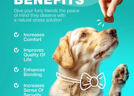 No Poo Chews for Dogs Coprophagia Deterrent for Dogs Forbid for Dogs Stool Eating Deterrent Dog Probiotics for Digestive Health Digestive Gut & Immune Health Treats No Poop Eating for Dogs