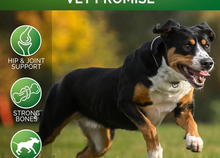 Glucosamine for Dogs Hip and Joint Supplement for Dogs Glucosamine Chondroitin for Dogs Dog Joint Pain Relief MSM Hemp Advanced Support Dog Joint Supplement 170 Mobility Chews