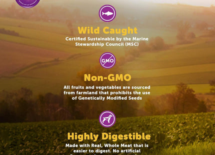 Salmon Small Breed Dry Dog Food, 4-Pound Bag