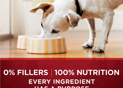 High Protein Wet Dog Food True Instinct Tender Cuts in Dog Food Gravy with Real Chicken and Duck - (Pack of 12) 13 Oz. Cans