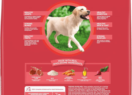 Proactive Health Large Breed Adult Dry Dog Food Lamb & Rice Recipe, 15 Lb. Bag