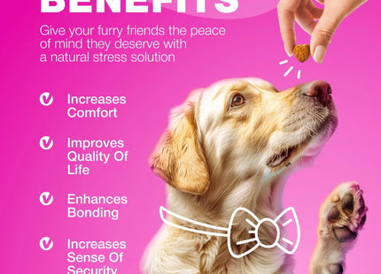 Dog UTI Treatment Dog Cranberry Supplement for Bladder Kidney Health Urinary