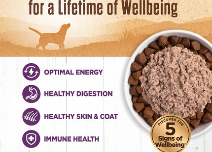 95% Chicken Natural Wet Grain Free Canned Dog Food, 13.2-Ounce Can (Pack of 12)