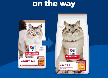 Adult 1-6, Adult 1-6 Premium Nutrition, Dry Cat Food, No Corn, Wheat, Soy Chicken & Brown Rice Recipe, 3.5 Lb Bag