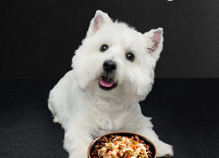 Simply Crafted Wet Dog Food Variety Pack, 1.3 Oz Tubs (16 Pack)