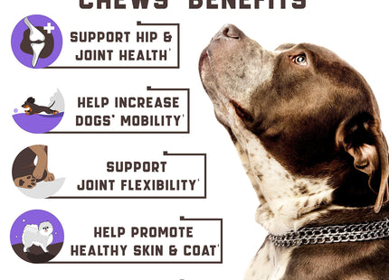 Glucosamine for Dogs Functional Dog Joint Supplement with Chondroitin Msm Hemp