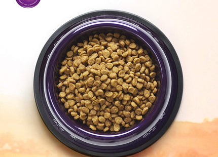 Salmon Small Breed Dry Dog Food, 4-Pound Bag