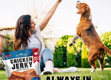 Chicken Jerky Dog Treats 1.5 Lb Human-Grade Grain-Free Dried Strips