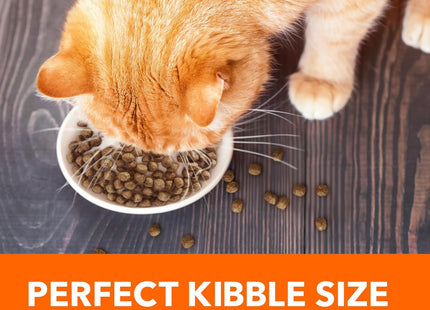 Proactive Health Adult Healthy Dry Cat Food with Real Salmon, 7 Lb. Bag